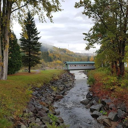 Condo-Chalet De La Vallee D'Edouard LʼAnse-Saint-Jean Exteriör bild