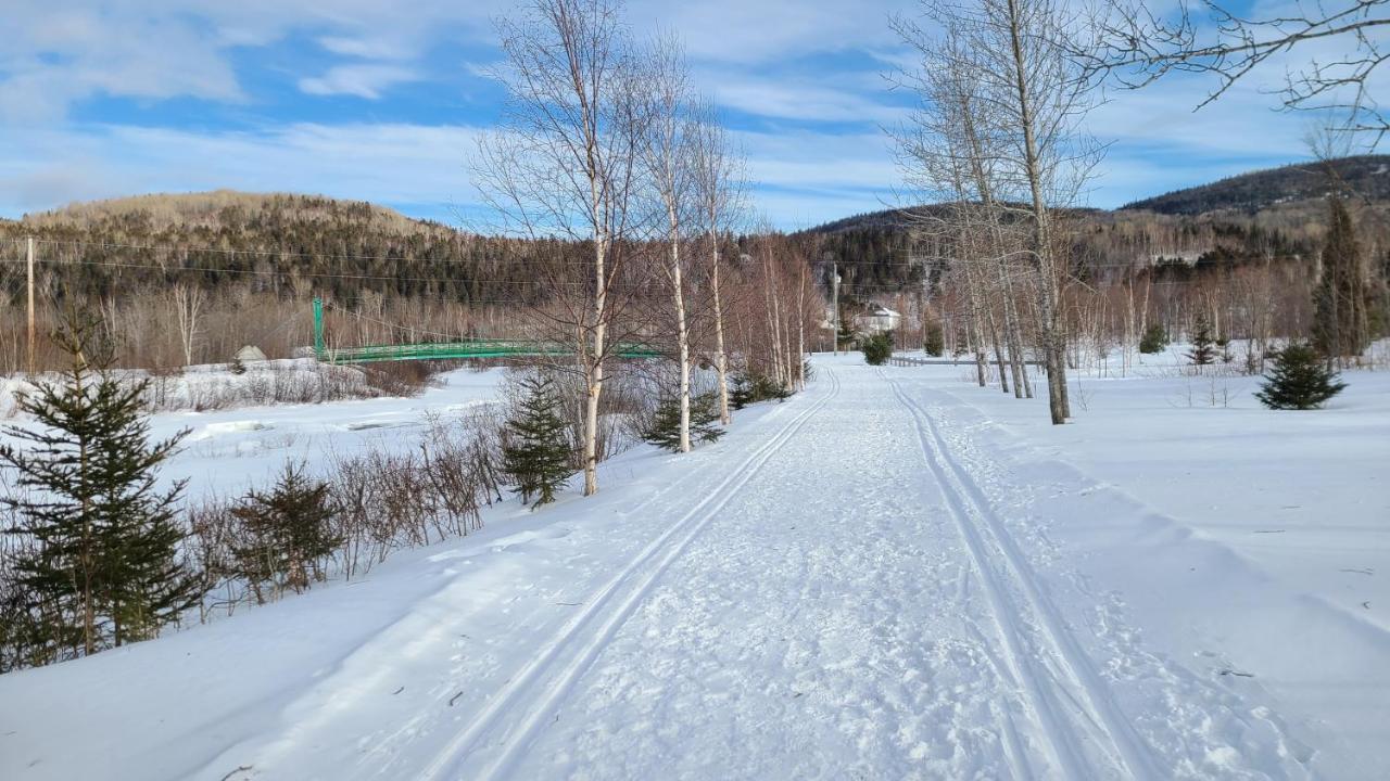 Condo-Chalet De La Vallee D'Edouard LʼAnse-Saint-Jean Exteriör bild