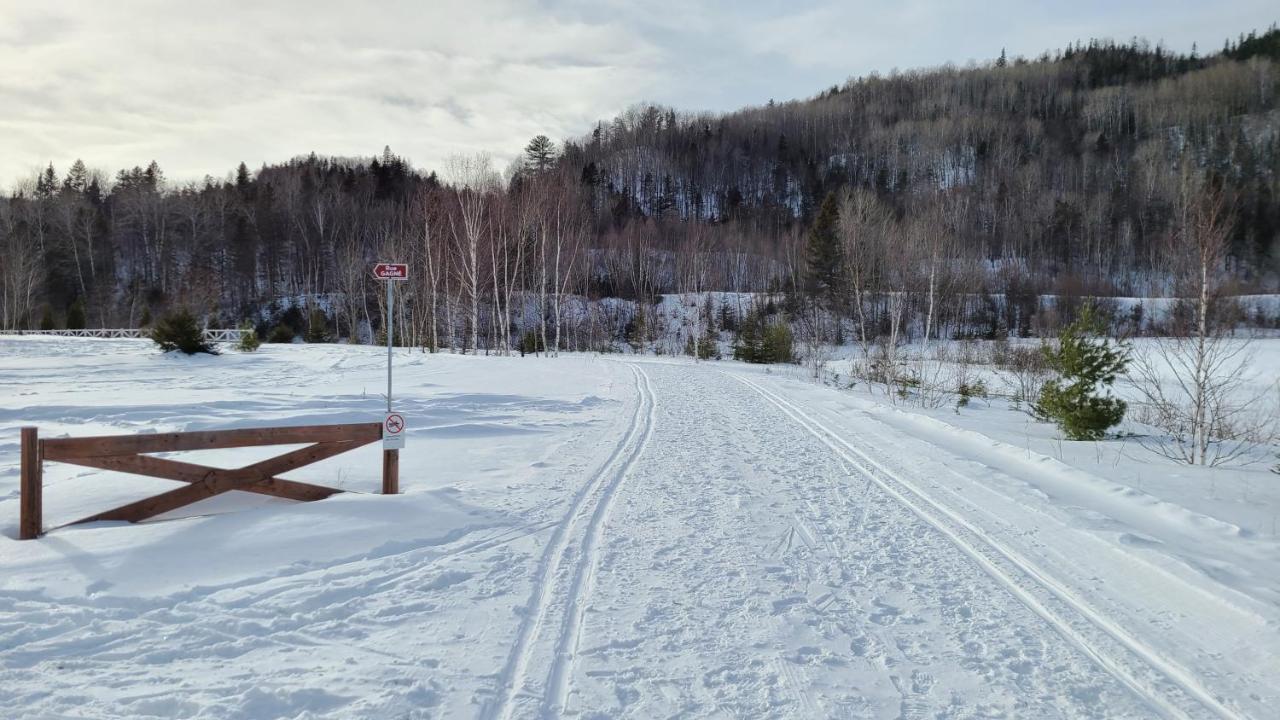 Condo-Chalet De La Vallee D'Edouard LʼAnse-Saint-Jean Exteriör bild