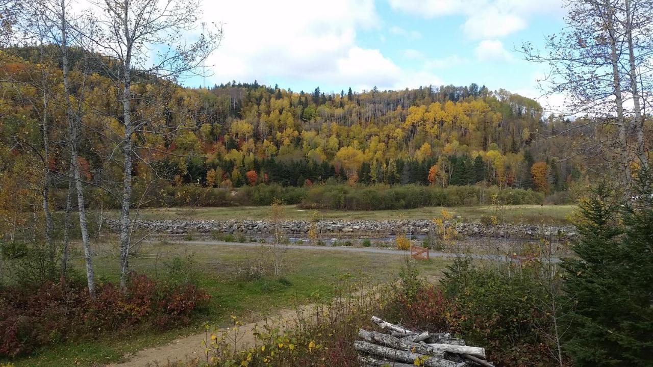 Condo-Chalet De La Vallee D'Edouard LʼAnse-Saint-Jean Exteriör bild