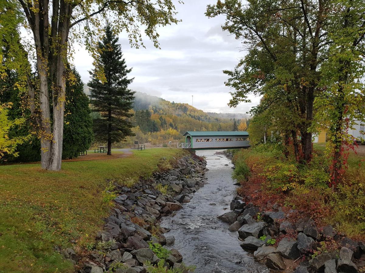 Condo-Chalet De La Vallee D'Edouard LʼAnse-Saint-Jean Exteriör bild